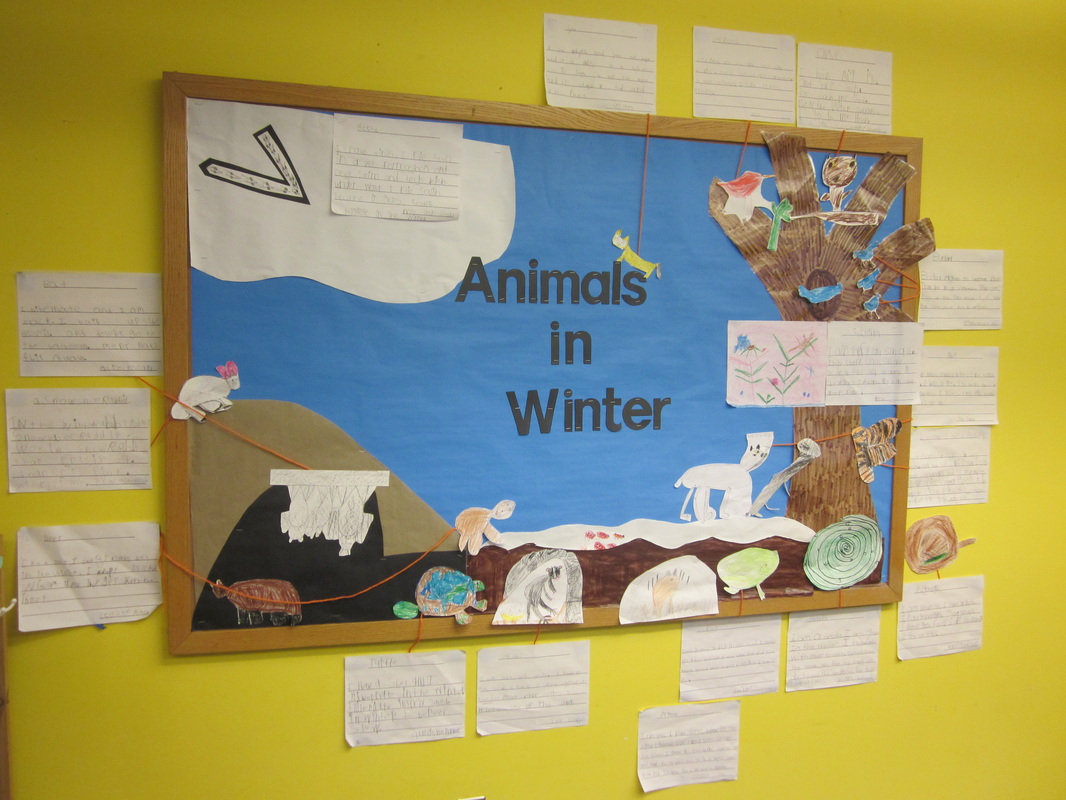 Animals in Winter Board - Jesse's Student Teaching Portfolio